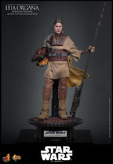 Star Wars Episode VI Movie Masterpiece Action Figure 1/6 Leia Organa (Boushh Disguise) 27 cm 4895228623966
