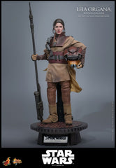 Star Wars Episode VI Movie Masterpiece Action Figure 1/6 Leia Organa (Boushh Disguise) 27 cm 4895228623966