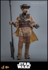 Star Wars Episode VI Movie Masterpiece Action Figure 1/6 Leia Organa (Boushh Disguise) 27 cm 4895228623966