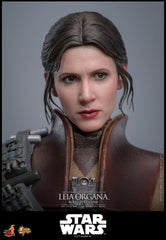 Star Wars Episode VI Movie Masterpiece Action Figure 1/6 Leia Organa (Boushh Disguise) 27 cm 4895228623966