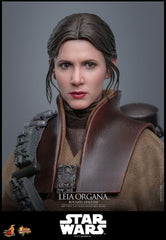 Star Wars Episode VI Movie Masterpiece Action Figure 1/6 Leia Organa (Boushh Disguise) 27 cm 4895228623966