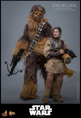 Star Wars Episode VI Movie Masterpiece Action Figure 1/6 Leia Organa (Boushh Disguise) 27 cm 4895228623966