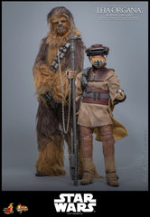Star Wars Episode VI Movie Masterpiece Action Figure 1/6 Leia Organa (Boushh Disguise) 27 cm 4895228623966