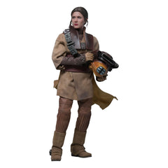 Star Wars Episode VI Movie Masterpiece Action Figure 1/6 Leia Organa (Boushh Disguise) 27 cm 4895228623966
