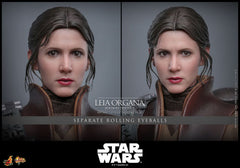 Star Wars Episode VI Movie Masterpiece Action Figure 1/6 Leia Organa (Boushh Disguise) 27 cm 4895228623966