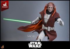 Star Wars: The Clone Wars Television Masterpiece Action Figure 1/6 Saesee Tiin (Clone Armor) (Hot Toys Exclusive) 32 cm 4895228623263