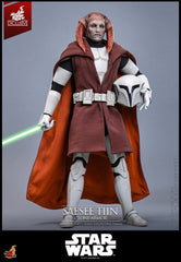 Star Wars: The Clone Wars Television Masterpiece Action Figure 1/6 Saesee Tiin (Clone Armor) (Hot Toys Exclusive) 32 cm 4895228623263