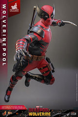 Deadpool & Wolverine Movie Masterpiece Action Figure 1/6 Wolverinepool Hot Toys Exclusive 31 cm 915494