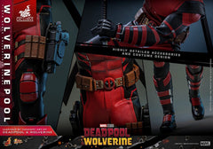 Deadpool & Wolverine Movie Masterpiece Action Figure 1/6 Wolverinepool Hot Toys Exclusive 31 cm 915494