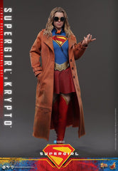 DC Comics Movie Masterpiece Action Figure Set Supergirl & Krypto 28 cm 4895228625113