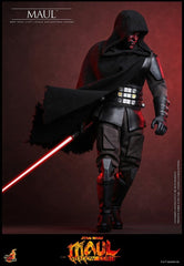 Star Wars: Maul - Shadow Lord Television Masterpiece Actionfigur 1/6 Maul 29 cmStar Wars: Maul - Shadow Lord Television Masterpiece Action Figure 1/6 Maul 29 cmMaul : Seigneur de l'ombre Television Masterpiece figurine 1/6 Maul 29 cmStar Wars: Maul – Seño 4895228625403