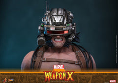Marvel Comic Masterpiece Actionfigur 1/6 Weapon X 31 cmMarvel Comic Masterpiece Action Figure 1/6 Weapon X 31 cmMarvel Comic Masterpiece figurine 1/6 Weapon X 31 cmMarvel Comic Masterpiece Figura 1/6 Weapon X 31 cm 4895228625090