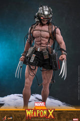 Marvel Comic Masterpiece Actionfigur 1/6 Weapon X 31 cmMarvel Comic Masterpiece Action Figure 1/6 Weapon X 31 cmMarvel Comic Masterpiece figurine 1/6 Weapon X 31 cmMarvel Comic Masterpiece Figura 1/6 Weapon X 31 cm 4895228625090