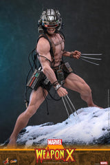 Marvel Comic Masterpiece Actionfigur 1/6 Weapon X 31 cmMarvel Comic Masterpiece Action Figure 1/6 Weapon X 31 cmMarvel Comic Masterpiece figurine 1/6 Weapon X 31 cmMarvel Comic Masterpiece Figura 1/6 Weapon X 31 cm 4895228625090