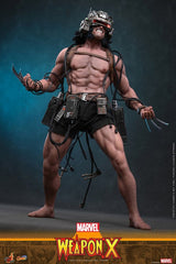 Marvel Comic Masterpiece Actionfigur 1/6 Weapon X 31 cmMarvel Comic Masterpiece Action Figure 1/6 Weapon X 31 cmMarvel Comic Masterpiece figurine 1/6 Weapon X 31 cmMarvel Comic Masterpiece Figura 1/6 Weapon X 31 cm 4895228625090