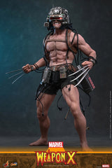 Marvel Comic Masterpiece Actionfigur 1/6 Weapon X 31 cmMarvel Comic Masterpiece Action Figure 1/6 Weapon X 31 cmMarvel Comic Masterpiece figurine 1/6 Weapon X 31 cmMarvel Comic Masterpiece Figura 1/6 Weapon X 31 cm 4895228625090