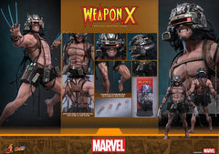 Marvel Comic Masterpiece Actionfigur 1/6 Weapon X 31 cmMarvel Comic Masterpiece Action Figure 1/6 Weapon X 31 cmMarvel Comic Masterpiece figurine 1/6 Weapon X 31 cmMarvel Comic Masterpiece Figura 1/6 Weapon X 31 cm 4895228625090