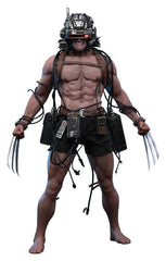 Marvel Comic Masterpiece Actionfigur 1/6 Weapon X 31 cmMarvel Comic Masterpiece Action Figure 1/6 Weapon X 31 cmMarvel Comic Masterpiece figurine 1/6 Weapon X 31 cmMarvel Comic Masterpiece Figura 1/6 Weapon X 31 cm 4895228625090