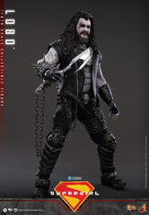 DC Comics Movie Masterpiece Action Figure 1/6 Lobo 33 cm 4895228625670