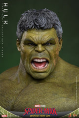 Marvel Action Figure 1/6 Hulk 51 cm 4895228626257