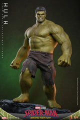 Marvel Action Figure 1/6 Hulk 51 cm 4895228626257