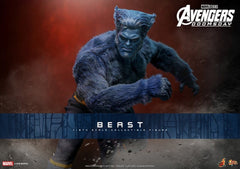 Marvel X-Men Movie Masterpiece Action Figure 1/6 Beast (Collector Edition) 33 cm 4895228626615