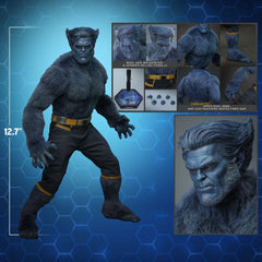 Marvel X-Men Movie Masterpiece Action Figure 1/6 Beast (Collector Edition) 33 cm 4895228626615