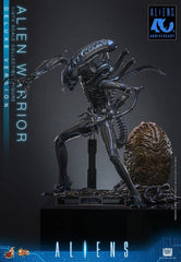 Alien Movie Masterpiece Action Figure 1/6 Alien Warrior (Deluxe Version) 39 cm 4895228626011