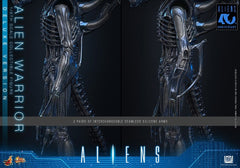 Alien Movie Masterpiece Action Figure 1/6 Alien Warrior (Deluxe Version) 39 cm 4895228626011