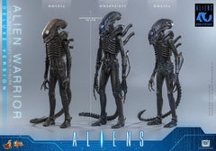 Alien Movie Masterpiece Action Figure 1/6 Alien Warrior (Deluxe Version) 39 cm 4895228626011