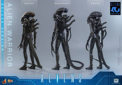 Alien Movie Masterpiece Action Figure 1/6 Alien Warrior (Deluxe Version) 39 cm 4895228626011