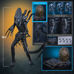 Alien Movie Masterpiece Action Figure 1/6 Alien Warrior (Deluxe Version) 39 cm 4895228626011
