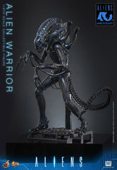 Alien Movie Masterpiece Action Figure 1/6 Alien Warrior 39 cm 4895228626004