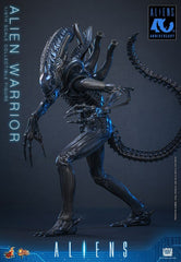 Alien Movie Masterpiece Action Figure 1/6 Alien Warrior 39 cm 4895228626004