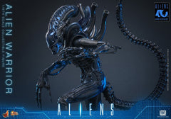 Alien Movie Masterpiece Action Figure 1/6 Alien Warrior 39 cm 4895228626004