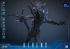 Alien Movie Masterpiece Action Figure 1/6 Alien Warrior 39 cm 4895228626004