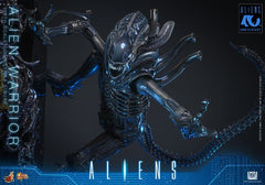 Alien Movie Masterpiece Action Figure 1/6 Alien Warrior 39 cm 4895228626004