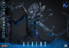Alien Movie Masterpiece Action Figure 1/6 Alien Warrior 39 cm 4895228626004