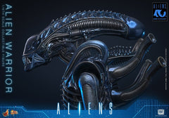 Alien Movie Masterpiece Action Figure 1/6 Alien Warrior 39 cm 4895228626004