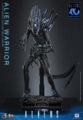 Alien Movie Masterpiece Action Figure 1/6 Alien Warrior 39 cm 4895228626004