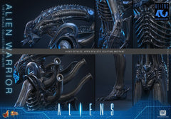 Alien Movie Masterpiece Action Figure 1/6 Alien Warrior 39 cm 4895228626004