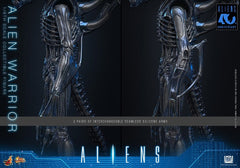 Alien Movie Masterpiece Action Figure 1/6 Alien Warrior 39 cm 4895228626004