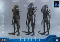 Alien Movie Masterpiece Action Figure 1/6 Alien Warrior 39 cm 4895228626004