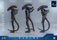 Alien Movie Masterpiece Action Figure 1/6 Alien Warrior 39 cm 4895228626004