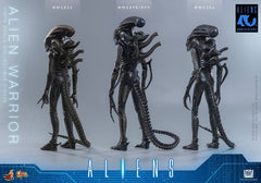 Alien Movie Masterpiece Action Figure 1/6 Alien Warrior 39 cm 4895228626004
