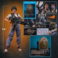 Alien Movie Masterpiece Action Figure 1/6 Ellen Ripley (Deluxe Version) 30 cm 4895228625953