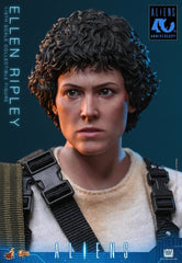 Alien Movie Masterpiece Action Figure 1/6 Ellen Ripley 30 cm 4895228625946