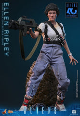 Alien Movie Masterpiece Action Figure 1/6 Ellen Ripley 30 cm 4895228625946