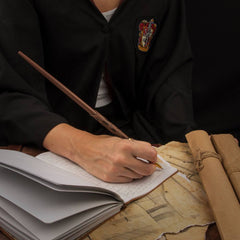 Harry Potter Pen Harry Potter Magic Wand  4895205603851
