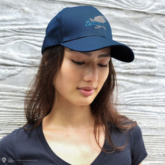 Harry Potter Curved Bill Cap Ravenclaw 4895205612839